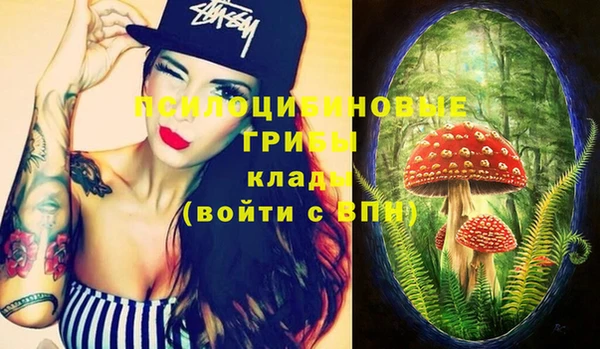 spice Абдулино