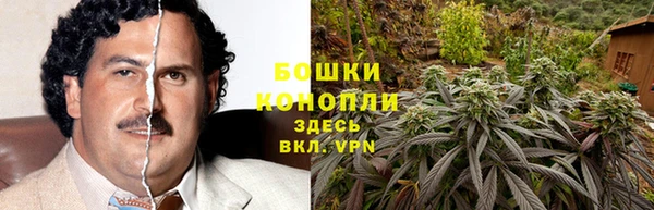 ПСИЛОЦИБИНОВЫЕ ГРИБЫ Абинск