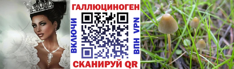 Псилоцибиновые грибы GOLDEN TEACHER  Шебекино 