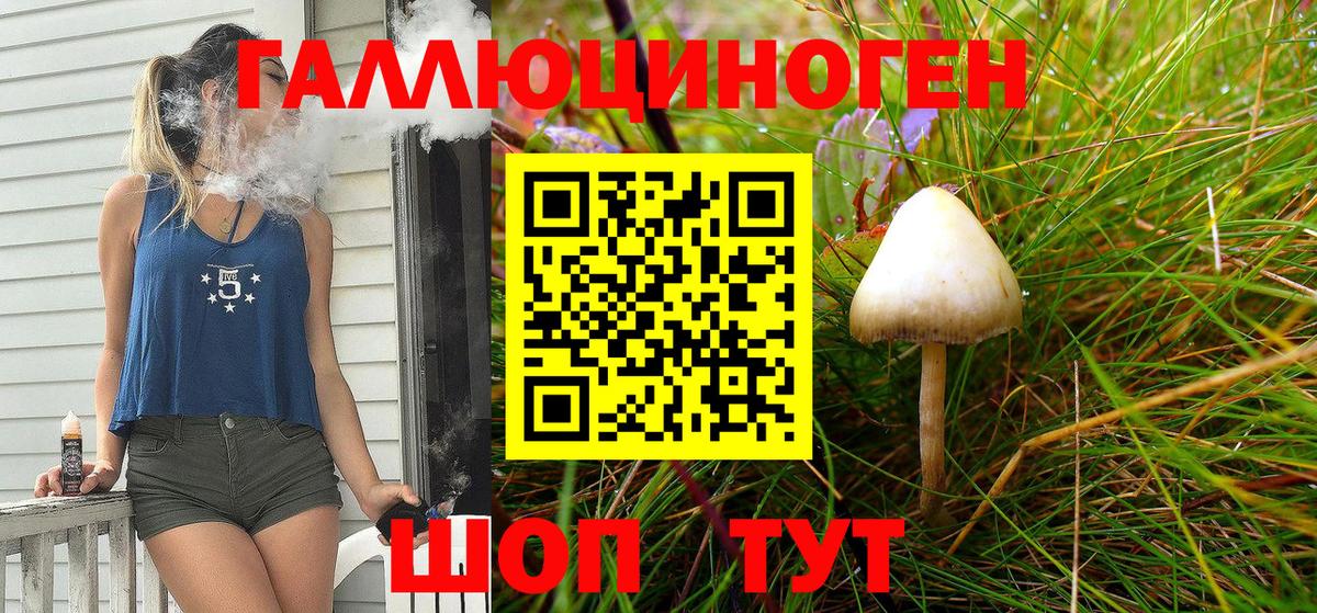 Галлюциногенные грибы Cubensis  Вход с VPN  Шебекино  купить   Псилоцибиновые грибы Magic Shrooms 