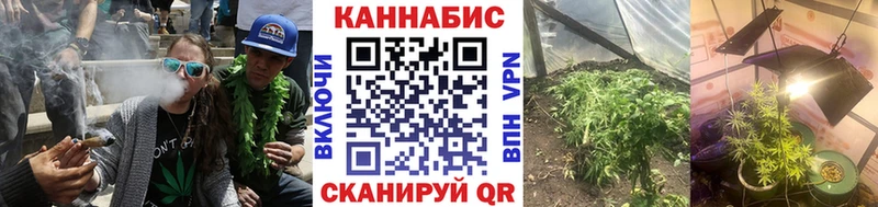 Бошки Шишки VHQ  купить   Шебекино 